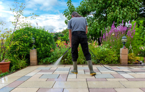 Animal Enclosure Cleaning in Maplewood, WA